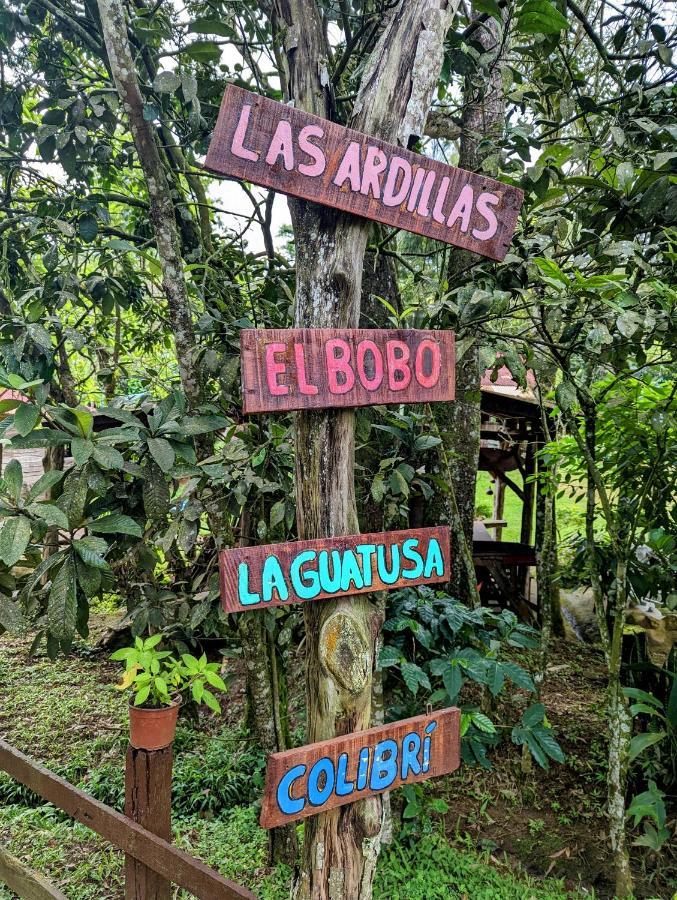 Batsu Ecolodge & Coffee Farm San Ramón Extérieur photo