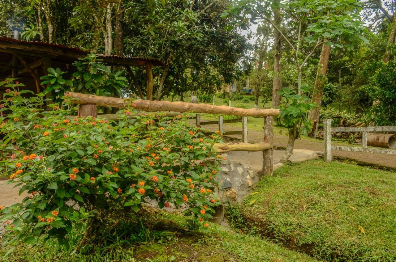 Batsu Ecolodge & Coffee Farm San Ramón Extérieur photo